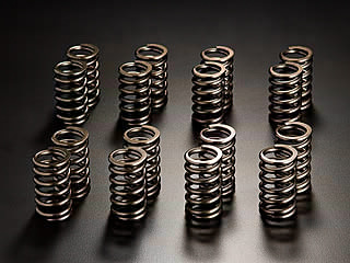 REINFOCED VALVE SPRING