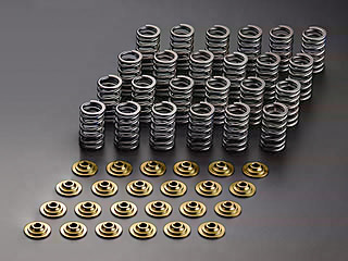 VALVE SPRING SET