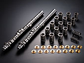 CAMSHAFT KIT STAGE 2R for K20A