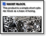 SHORT BLOCK ASSEMBLEY