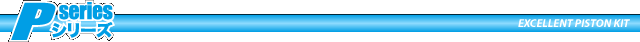 P-SERIES / EXCELLENT PISTON KIT